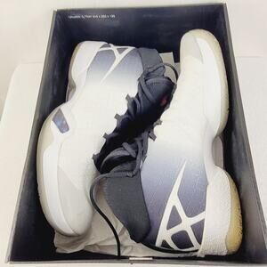 Air Jordan XXX 30  white and wolf grey size 12 Sneakerhead Streetwear